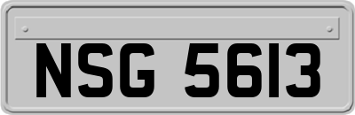 NSG5613