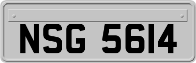 NSG5614