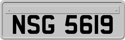 NSG5619