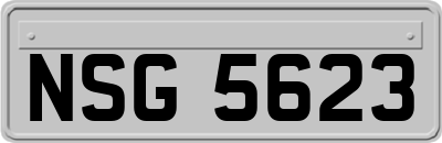 NSG5623