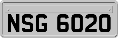 NSG6020
