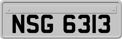 NSG6313