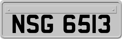 NSG6513