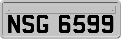 NSG6599