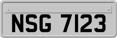 NSG7123