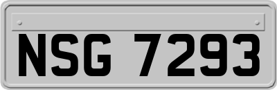 NSG7293