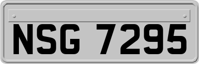 NSG7295