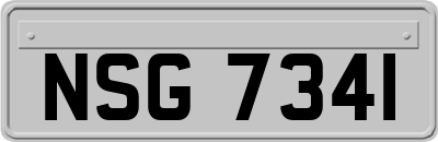 NSG7341