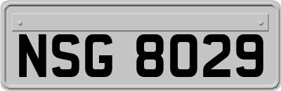 NSG8029