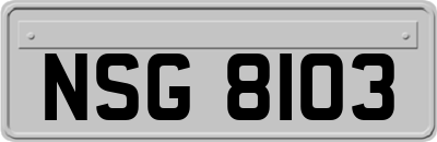 NSG8103