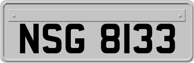 NSG8133