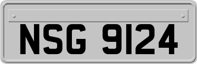 NSG9124