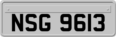 NSG9613