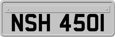 NSH4501