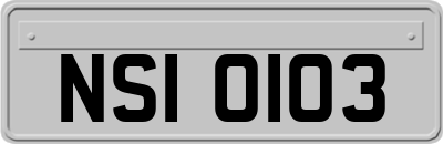 NSI0103