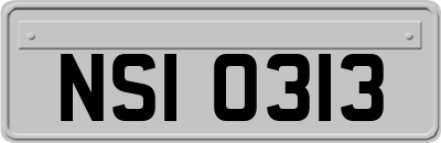 NSI0313