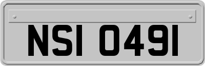 NSI0491