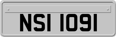 NSI1091
