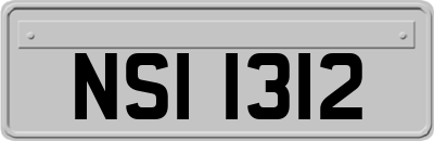 NSI1312