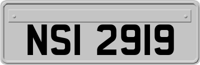 NSI2919