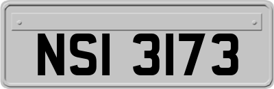 NSI3173