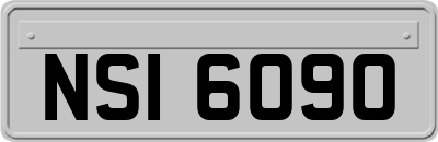 NSI6090
