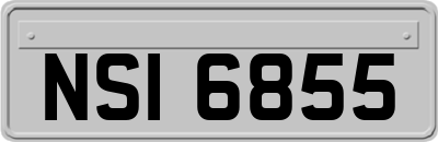NSI6855