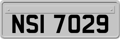 NSI7029
