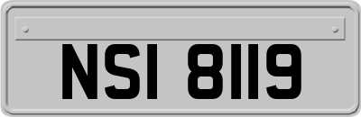 NSI8119