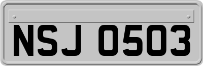 NSJ0503