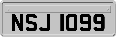 NSJ1099
