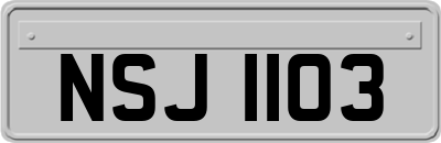 NSJ1103
