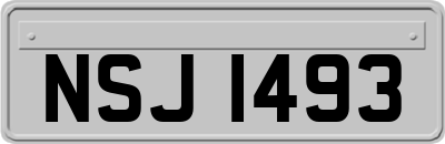 NSJ1493