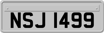 NSJ1499