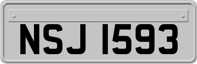 NSJ1593