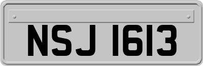 NSJ1613