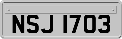 NSJ1703