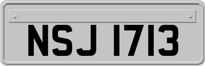 NSJ1713