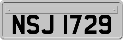 NSJ1729