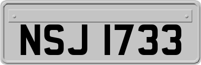 NSJ1733