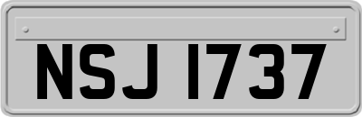 NSJ1737