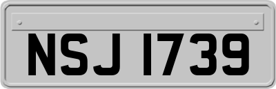 NSJ1739