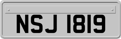 NSJ1819