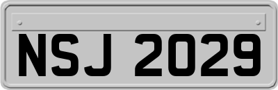 NSJ2029