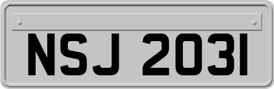 NSJ2031
