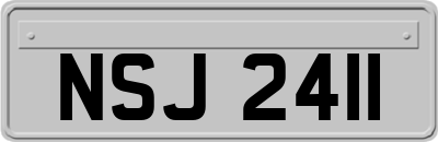 NSJ2411