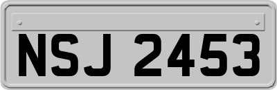 NSJ2453