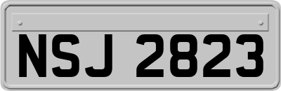 NSJ2823