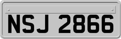 NSJ2866