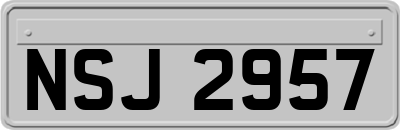 NSJ2957